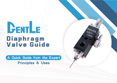 Diaphragm Valve Guide: How It Works, Top Applications & Maintenance Tips