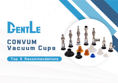 【2026 Updated】Top 5 CONVUM Vacuum Cups: How to Choose the Right One